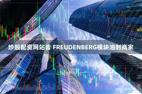 炒股配资网站皆 FREUDENBERG模块油封商家
